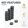 Y10 Ceramic Magnets - 5/16" diameter x 3/16" thick - 0.10lbs Pull