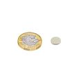 N35 Neodymium Disc Magnet - 3/8 in. dia x 1/16 in. thick - 1.96lbs Pull