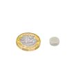 N35 Neodymium Disc Magnet - 3/8 in. dia x 1/8 in. thick - 3.75lbs Pull
