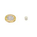 N42 Neodymium Disc Magnet - 1/4 in. dia x 3/16 in. thick - 2.65lbs Pull