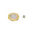 N42 Neodymium Disc Magnet - 3/16 in. dia x 1/8 in. thick - 1.55lbs Pull