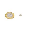 N42 Neodymium Disc Magnet - 1/4 in. dia x 1/32 in. thick - 0.44lbs Pull