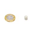 N42SH Neodymium Disc Magnet - 1/4 in. dia x 1/4 in. thick - 3.08lbs Pull