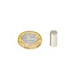 N42 Neodymium Diametrically Magnetised Rod Magnet - 1/4 in. dia x 9/16 in. thick