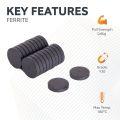 Y10 Ceramic Disc Magnet - 1 in. dia x 3/16 in. thick - 1.32lbs Pull