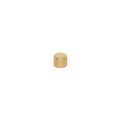 N35 Neodymium Gold Plated Disc Magnet - 3/16 in. dia x 5/32 in. thick - 1.45lbs Pull