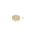 N42 Neodymium Disc Magnet - 1/4 in. dia x 1/32 in. thick - 0.77lbs Pull
