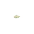 N42 Neodymium Adhesive Disc Magnet - 19/32 in. dia x 1/32 in. thick - 2.42lbs Pull