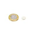 Samarium Cobalt Disc Magnet - 3/8 in. dia x 1/16 in. thick - 1.99lbs Pull