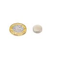 N42 Neodymium Disc Magnet - 15/32 in. dia x 1/8 in. thick - 5.51lbs Pull