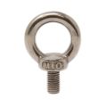 Stainless Steel M10 Eyebolt