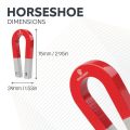 Traditional Alnico Horseshoe Magnet & Iron Powder Set - Science & Education