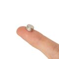 N35 Neodymium Disc Magnet - 5/16 in. dia x 5/32 in. thick - 3.24lbs Pull