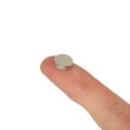 N42 Neodymium Disc Magnet - 3/8 in. dia x 1/16 in. thick - 3.08lbs Pull