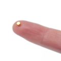 N42 Neodymium Gold Plated Disc Magnet - 1/8 in. dia x 1/16 in. thick