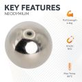 N42 Neodymium Ball Magnet - 3/4 in. dia - 9.7lbs Pull